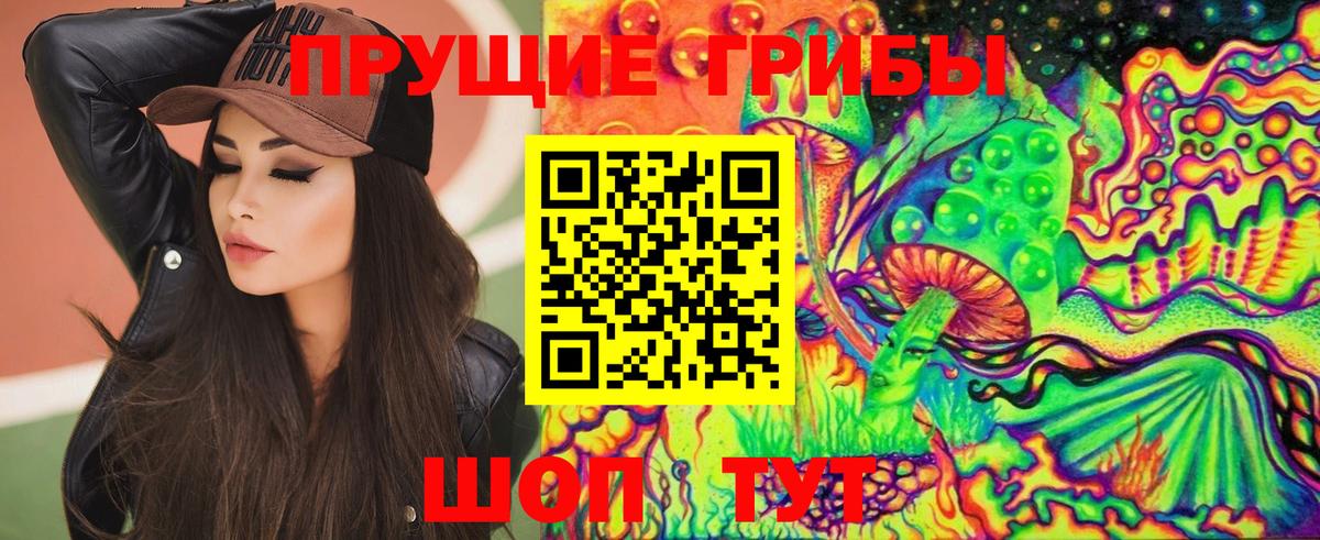 Псилоцибиновые грибы ЛСД Камень-на-Оби