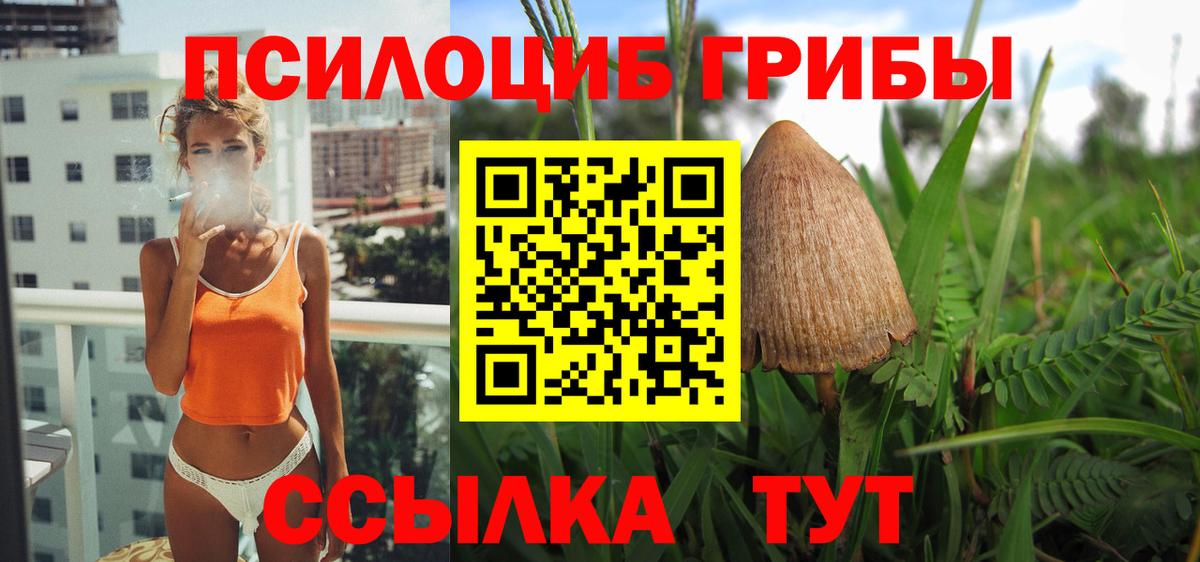 Галлюциногенные грибы Cubensis  даркнет сайт  Камень-на-Оби  Вход с VPN 